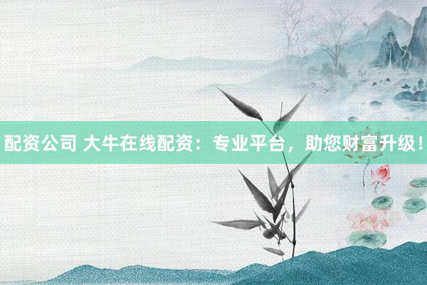 配资公司 大牛在线配资：专业平台，助您财富升级！