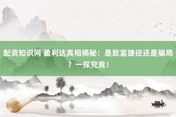 配资知识网 盈利达真相揭秘：是致富捷径还是骗局？一探究竟！