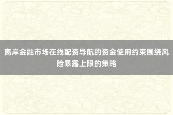离岸金融市场在线配资导航的资金使用约束围绕风险暴露上限的策略