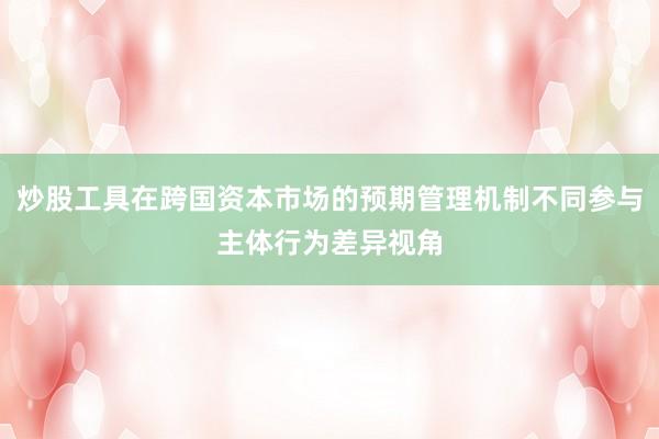 炒股工具在跨国资本市场的预期管理机制不同参与主体行为差异视角