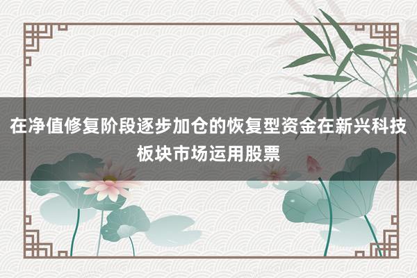 在净值修复阶段逐步加仓的恢复型资金在新兴科技板块市场运用股票