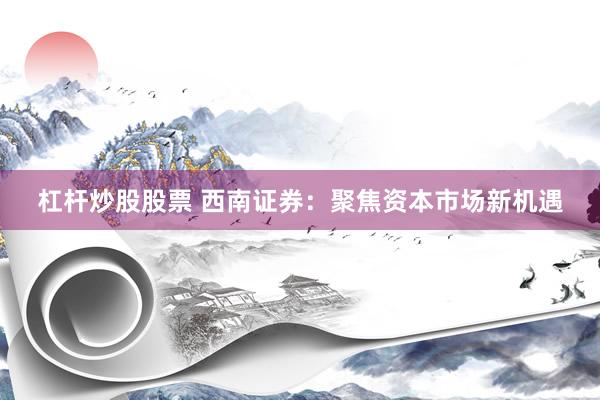 杠杆炒股股票 西南证券：聚焦资本市场新机遇